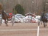 150414xanthisonemal1.jpg