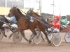 150414xanthisonevarvning.jpg